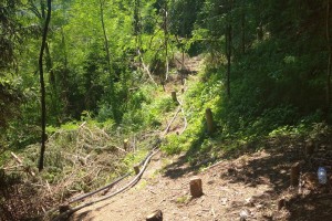 Sanacija in zaščita skalnega podora v Slovenski vasi