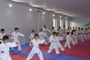 Novo mesto gosti prvenstvo v karateju