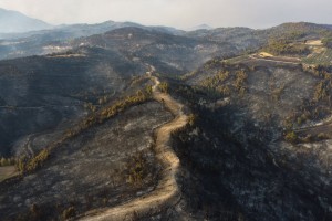 V Grčiji in Turčiji še naprej pustošijo požari