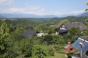 Razkošno posestvo tržiškega župana Sajovica: tri hiše, hlev in čreda ovac v Brdu pri Tržiču (FOTO)