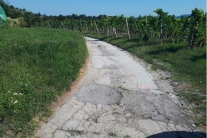 Rekonstrukcija ceste Nova Gora - Drašiči