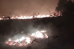 Hvar gori, v boju z ognjem 50 gasilcev in tri letala (FOTO)