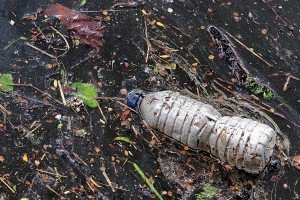Z mikroplastiko najbolj onesnažena Sava med Krškim in Brežicami
