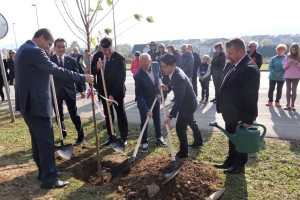 FOTO: V Grosuplju zasadili drevored japonskih češenj