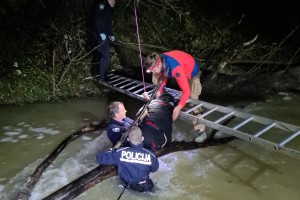 Pri ilegalnem prečkanju reke deroča Dragonja odnesla 10-letno turško deklico