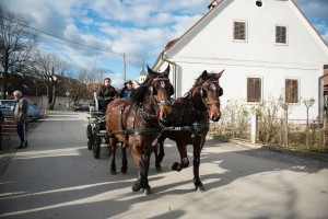 Na praznik sv. Štefana bodo blagoslavljali konje