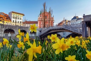 Vrača se pomlad: spet sonce in topleje bo