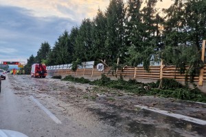 Kaos na ljubljanski obvoznici: drevesa padala na cestišče (FOTO)