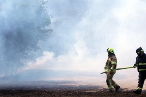 Noč na Krasu: zagorelo še tam, kjer doslej še ni gorelo