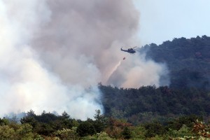 Vam v Ljubljani smrdi po zažganem? Oblak dima s Krasa se širi po Sloveniji