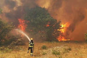 Tako lahko pomagate kraškim občinam, ki so jih prizadeli požari