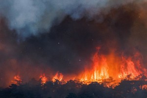 Prihaja rešilni dež, na Krasu ga krvavo potrebujejo