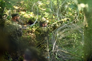 Dosje: odstranitev ograje - župani na južni meji so za, želijo pa si varnosti