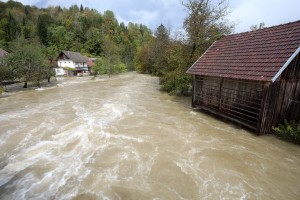 Kolpa in Krka bosta spet poplavljali