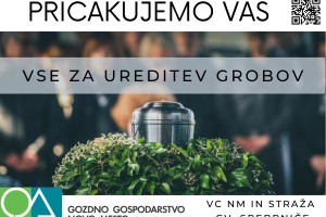 Gozdno gospodarstvo Novo mesto vabi