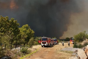 Pred letom dni je zagorel Kras in razplamtel se je največji gozdni požar v zgodovini Slovenije