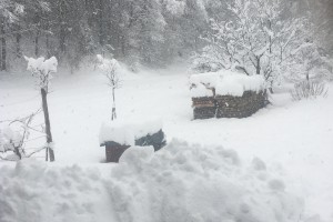 Sneg podira drevesa in zapira ceste: najhuje na Štajerskem, Koroškem, Dolenjskem in v Zasavju