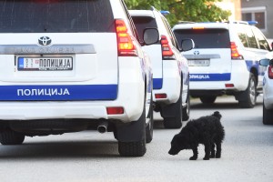 Val bombnih alarmov na srbskih šolah: kar 75 obvestil