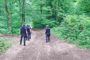 Novomeški policisti prijeli tatove poljščin