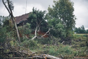 Oranžni alarm za vso državo: najhuje bo v severozahodni, severni in vzhodni Sloveniji