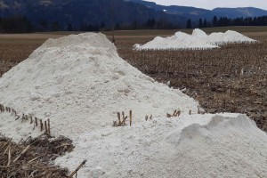 Ovadenih pet oseb, zaradi katerih so kmetje po koroških poljih posuli 500 ton sadre (FOTO)