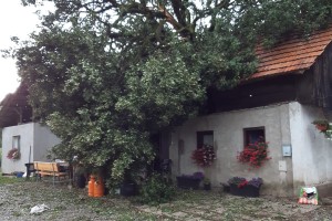 Skupna akcija za nov dom v neurju prizadete družine Črpič