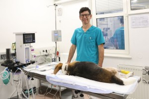 Veterinar Rado Zajc: Ravnajte z živaljo, kot bi si sami želeli, da žival ravna z vami