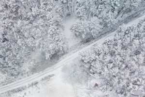 Arso pravi: Sneg bo! V nižinah ga bo v petek zapadlo do 10 cm