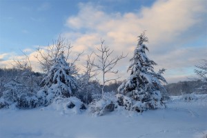 V torek ne samo ohladitev, ampak celo sneg!