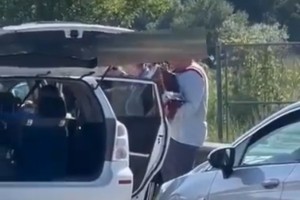 Idiotizem na avtocesti: tovornjakar umrl, ljudje v zastoju pa so igrali harmoniko, sprehajali otroke (VIDEO)