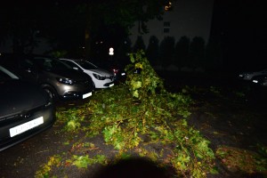 Polomljena drevesa padala na avtomobile in trgala kable; voda zalivala kleti in ceste (FOTO)