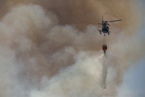 Sutjeska gori, politiki pa se prepirajo