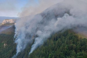 Dež pogasil požar in rešil pragozd na Kočevskem