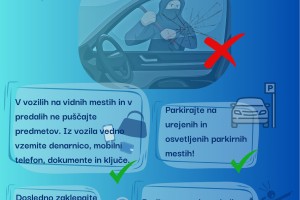 Poskušal pobegniti in se zaletel v dve policijski vozili