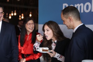 Demokrati, Irgl, Logar, torta