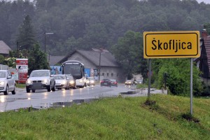 Še en napad medvedke pri Škofljici