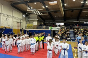 Nova odličja Karate kluba Mirna Peč v Rogaški Slatini