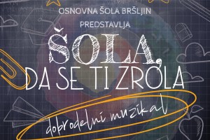 Muzikal: Šola, da se ti zrola