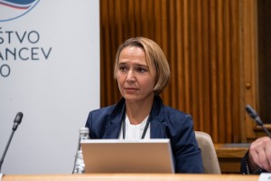 Povezovanje SLS in NSI: marsikje na terenu se člani med seboj ne marajo
