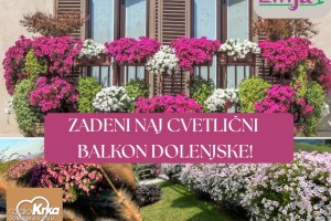 🌸 Prihaja najlepša priložnost za vaš balkon – samo na Radiu Krka! 🌸