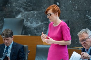 Vrečko: Stranki NSi in Demokrati sta sami "bore malo" naredili za kulturo