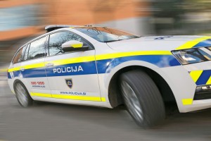 Ribničan umoril 79-letno mamo in mučil živali: to ga je doletelo zdaj