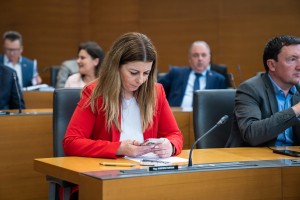 Do predloga zakona o psihoterapiji najbolj kritični v SDS