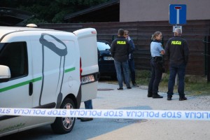 V Miklavžu psa do smrti pogrizla mamo lastnika psov