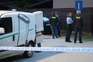 V Miklavžu psa do smrti pogrizla mamo lastnika psov