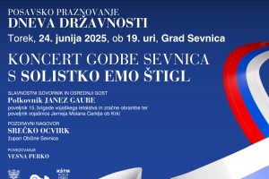 Skupno posavsko praznovanje dneva državnosti v Sevnici