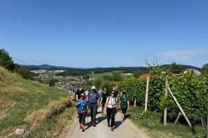 Slakova pesem in Pavčkova poezija na vsakem koraku