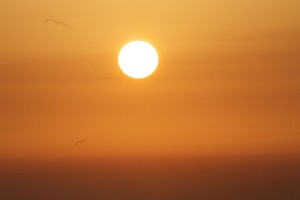 Danes najbolj vroč dan letos: temperature do 37 stopinj