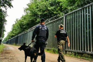 Poljska z začasnim nadzorom na mejah z Nemčijo in Litvo