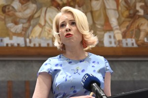 Kolega Mahnič, na svetu ni dovolj alkohola, da bi vas spremenil v možatega, plečatega moškega z izjemno moškostjo